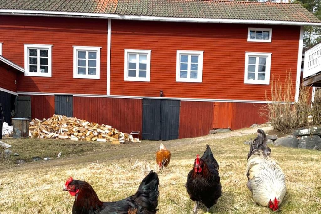 Egen Stuga Och Vedeldad Bastu Linghed Ngoại thất bức ảnh